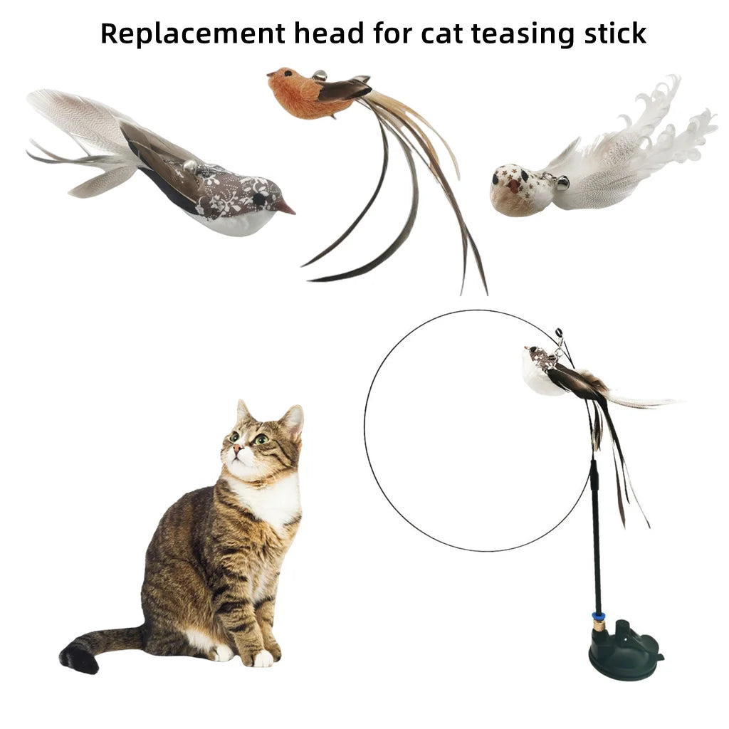 Cat toys strong suction cups teasing rod replacement head teasing rod simulation bird wire teasing rod pet supplies accessories